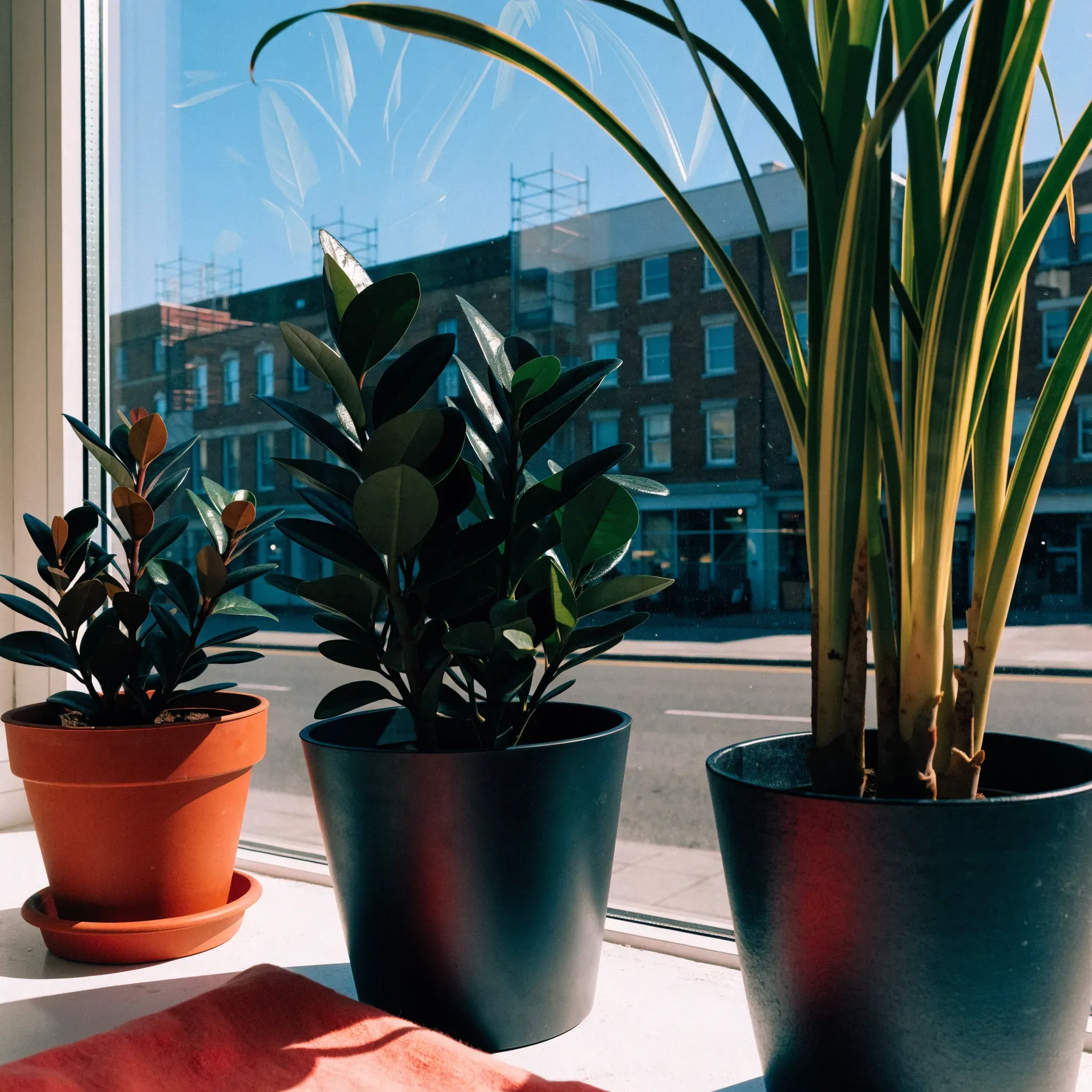 Personal Growth